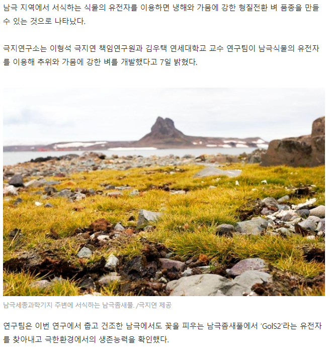 쌀에 미친 민족 한민족._1.png