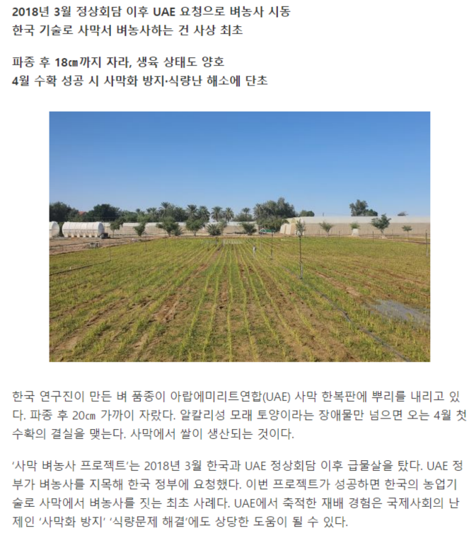 쌀에 미친 민족 한민족._3.png