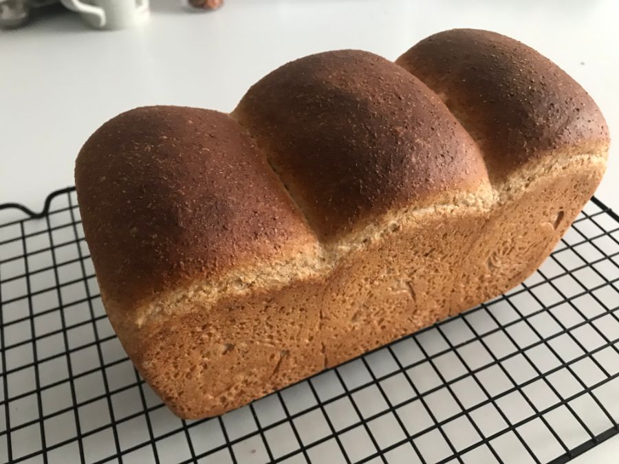 독일에서 통밀 식빵 만들기_2.jpg