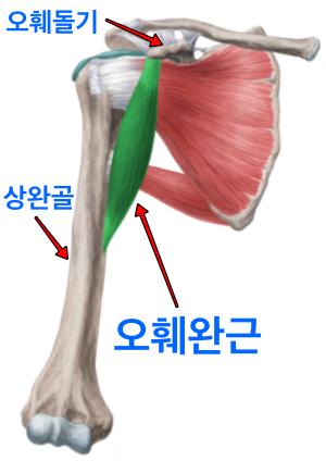 의외로 겨보지근 아님_7.png