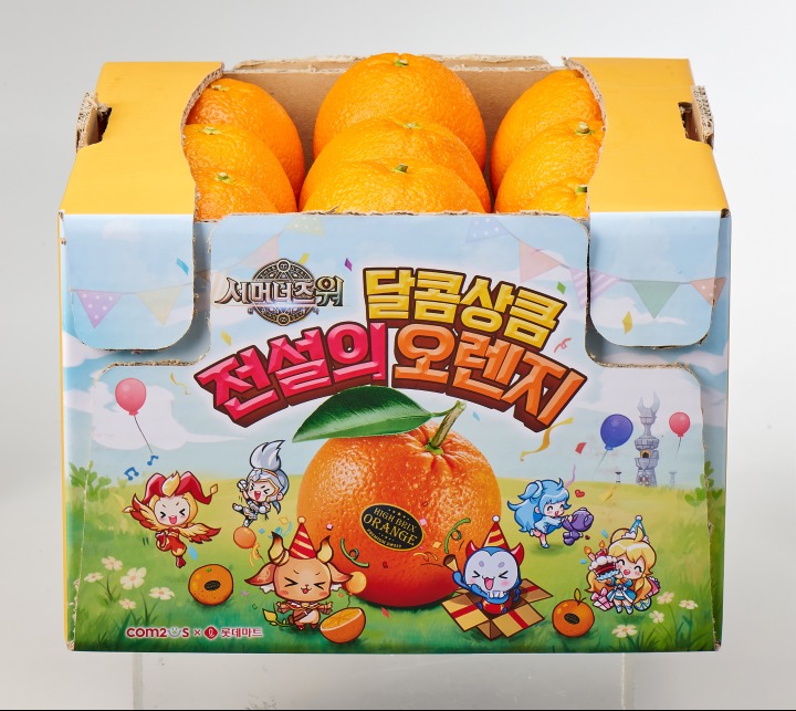 오렌지 이미지