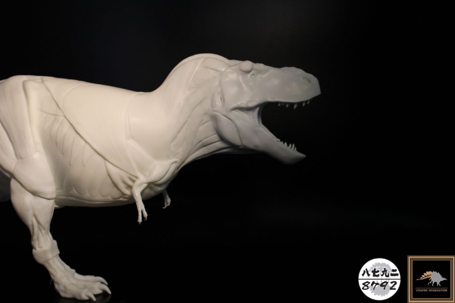 티라노사우루스 렉스 해부도 모형 완성 !_14.jpg