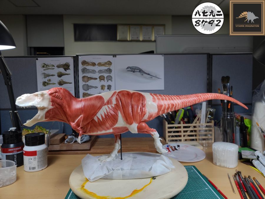 티라노사우루스 렉스 해부도 모형 완성 !_17.jpg