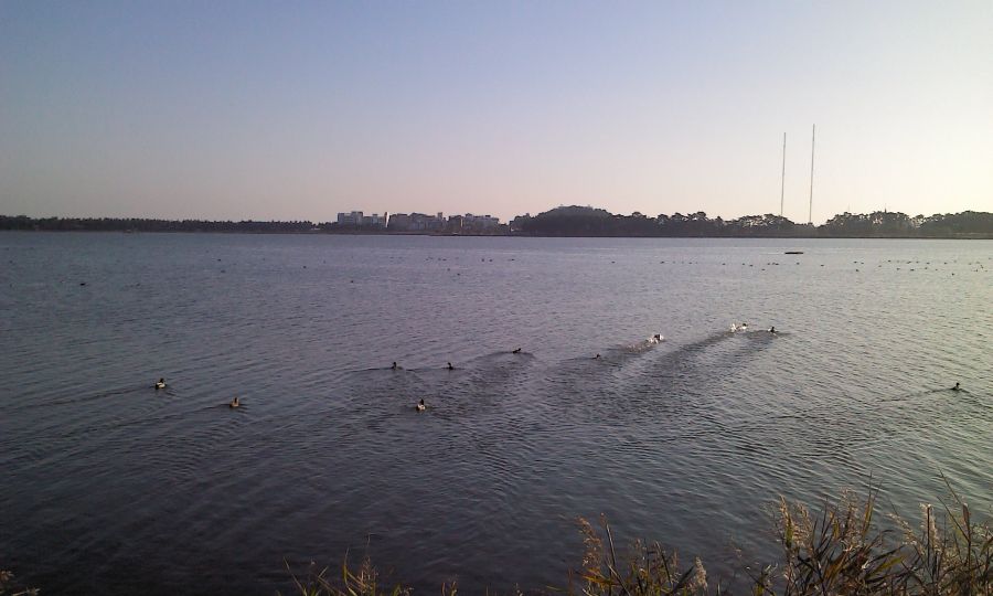 2011-11-14 08.59.51.jpg