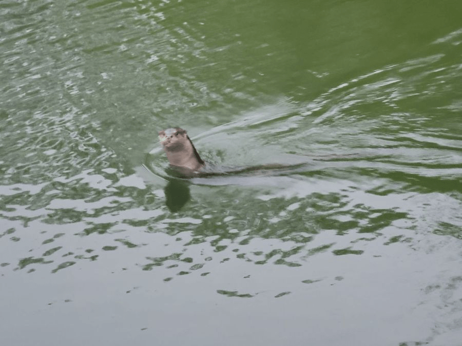 강원도 한 대학 에타 난리남.jpg_3.png