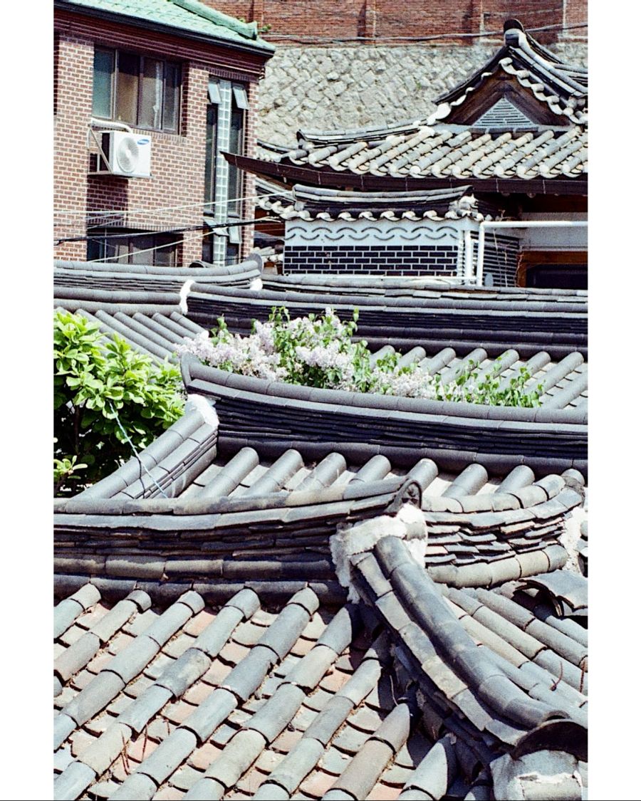 북촌 티 카페 델픽 | 음식 갤러리 | 루리웹 l RULIWEB 북촌 티 카페 델픽 | 음식 갤러리 | 루리웹