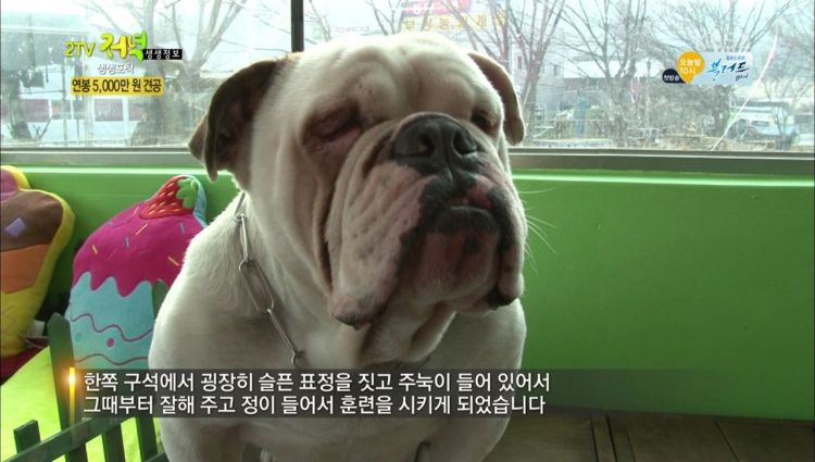 연봉 5천만원.jpg_1.jpeg