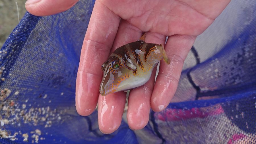 사사모토 나츠로 물빼는 어그로 직촬_1.jpg