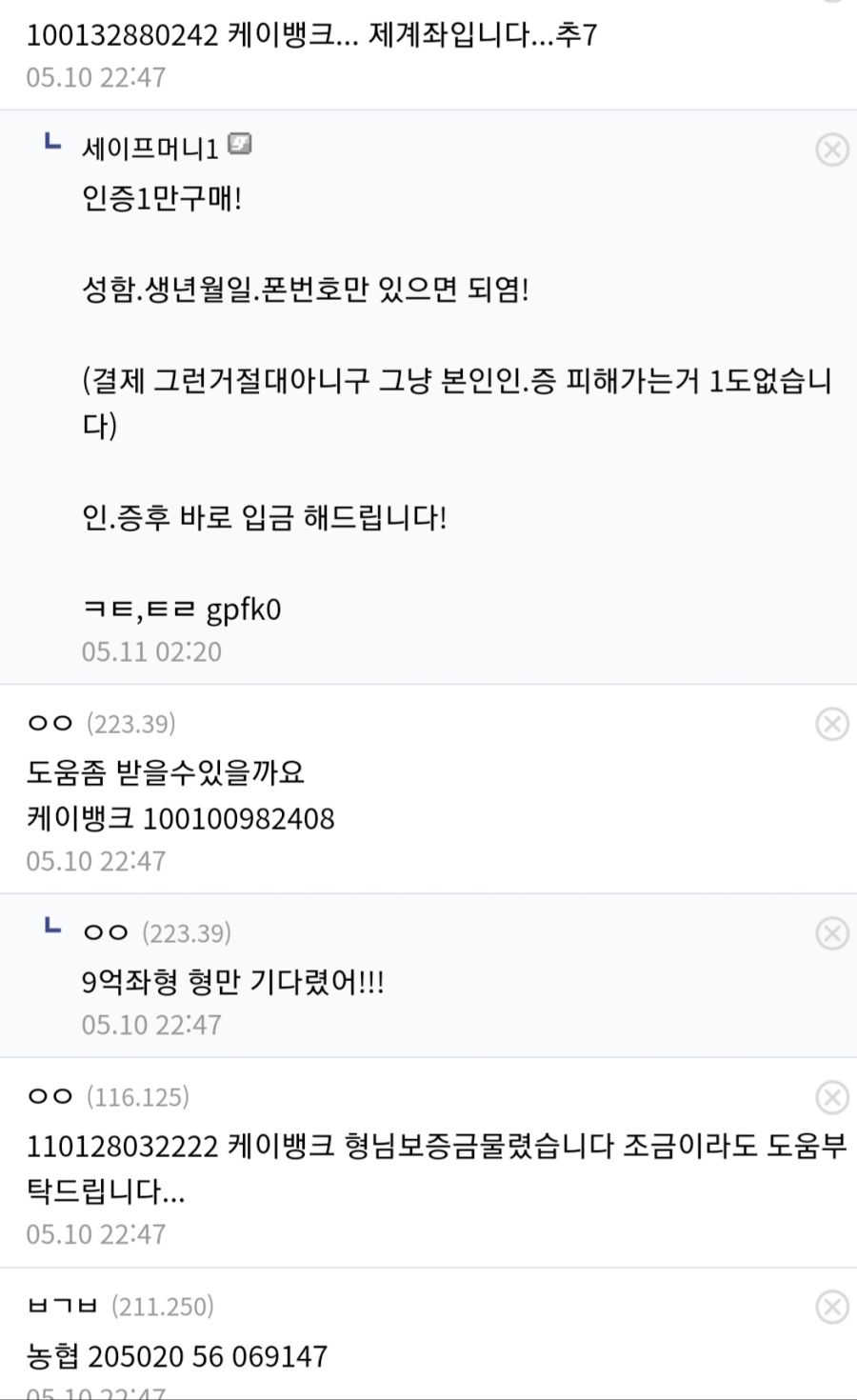 드디어 미쳐버린 비트코인 갤러리
