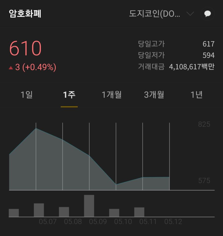 도지코인으로 한강뷰가 눈앞이네요ㅎ