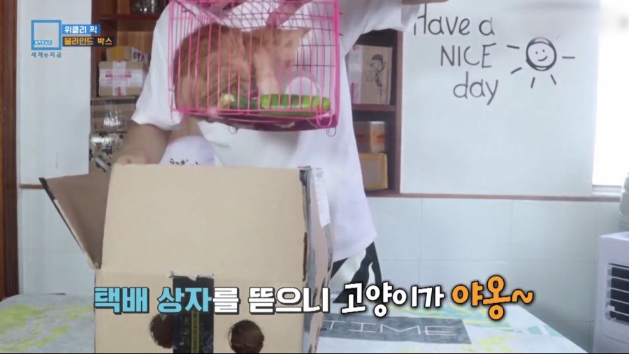 중국에서 유행하는 랜덤박스.jpg_2.jpg