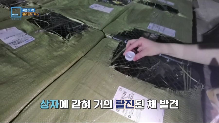 중국에서 유행하는 랜덤박스.jpg_6.jpg