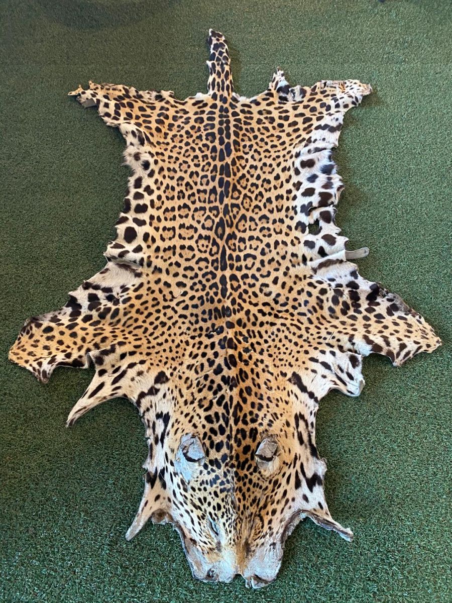 조선 시대에 해수 구제 사업으로 얻었던 호랑이 가죽과 표범 가죽의 차이.jpg_2.jpg