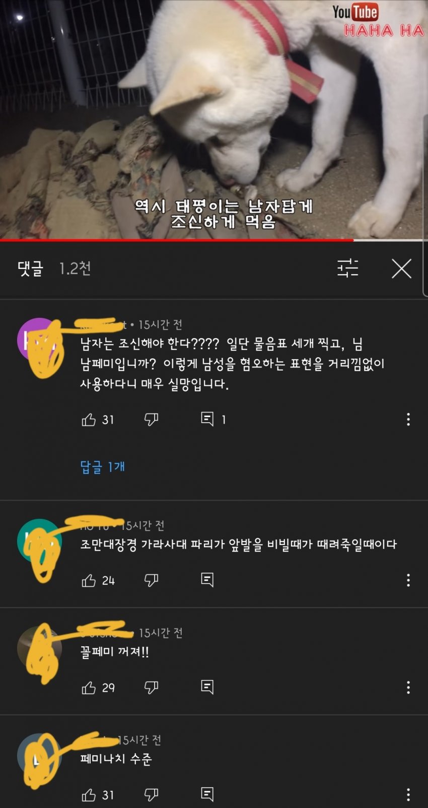 어느 고양이 유튜버가 한동안 댓글창을 막아버린 이유_3.jpg