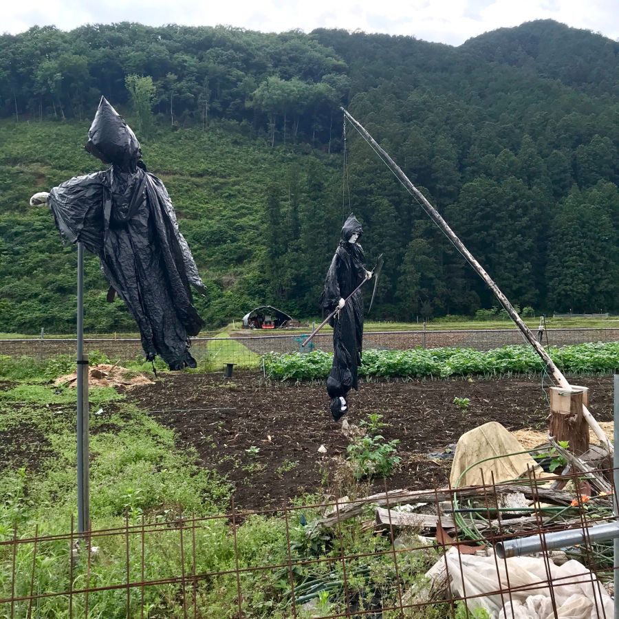 어느 일본 시골의 허수아비_1.jpg