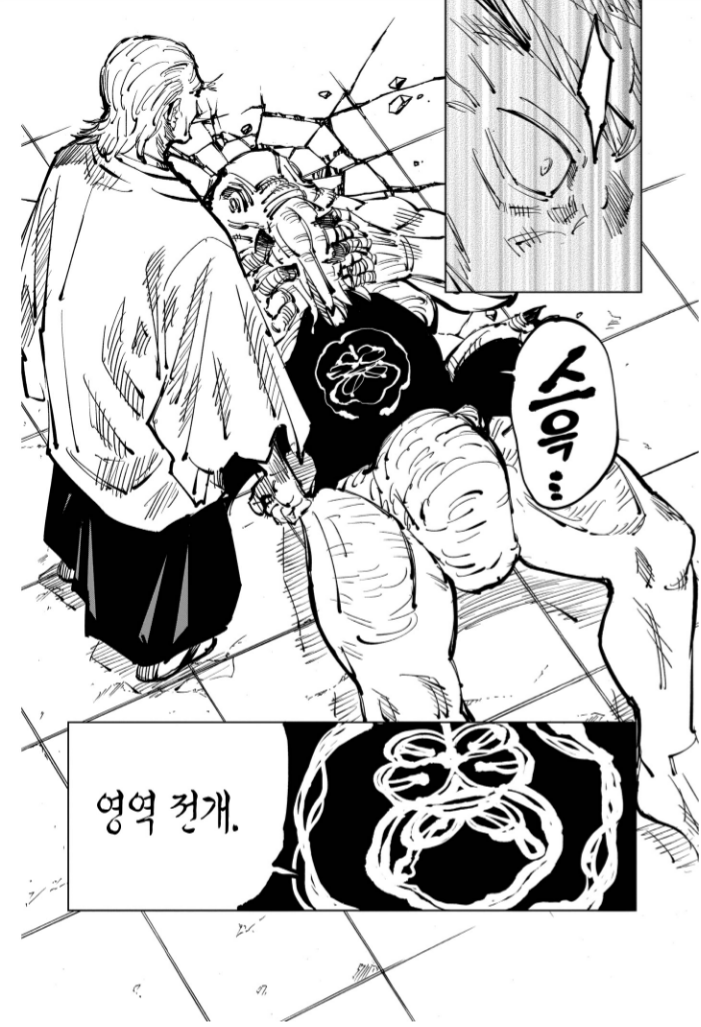 주술회전 스포+움짤) 만화 성공의 비결 영역전개 모음_8.png