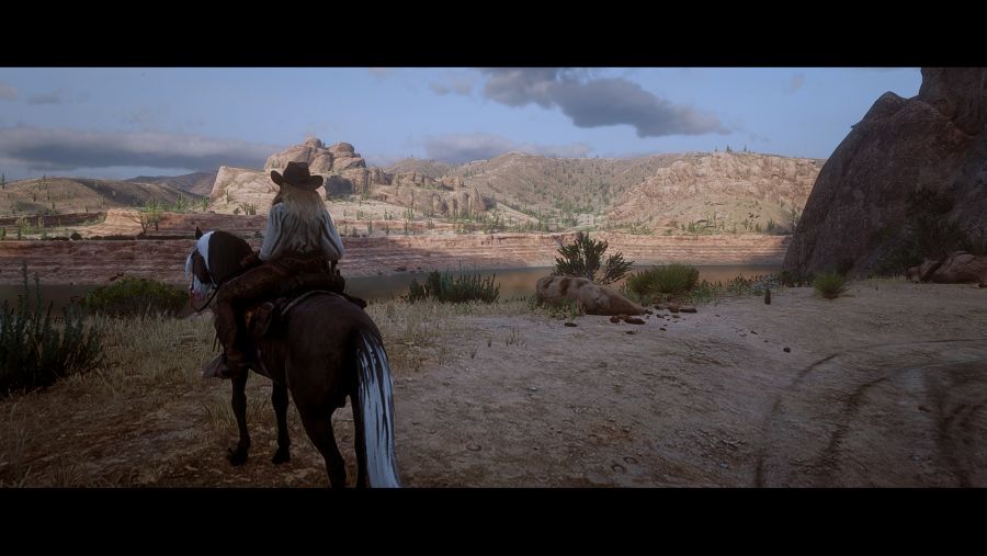 Red Dead Redemption 2 Screenshot 2021.05.29 - 14.49.21.28.png