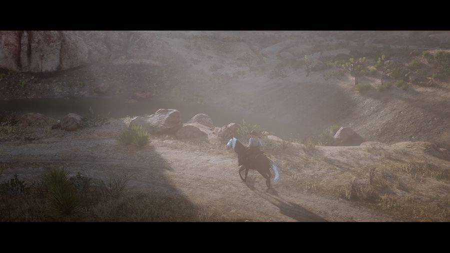 Red Dead Redemption 2 Screenshot 2021.05.29 - 14.51.47.43.png