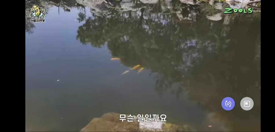 유튜브 망하게 생긴 유튜버_3.jpg
