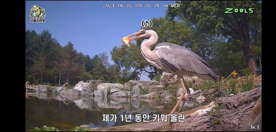 유튜브 망하게 생긴 유튜버_9.jpg