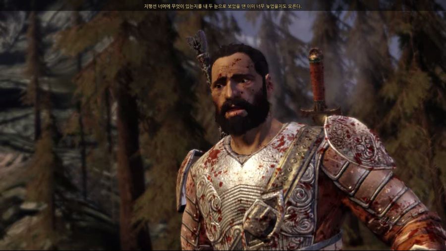 드래곤 에이지 오리진스_11.jpg