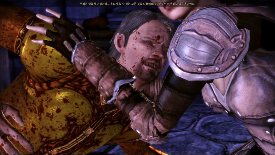 드래곤 에이지 오리진스_40.jpg