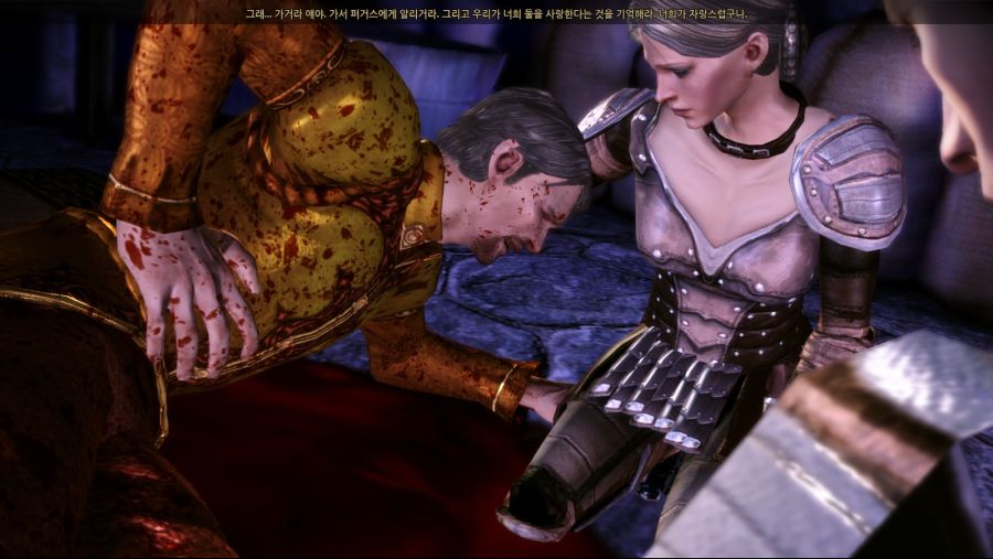 드래곤 에이지 오리진스_41.jpg