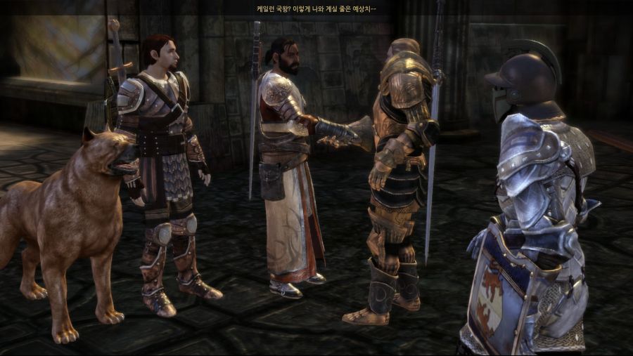 드래곤 에이지 오리진스_43.jpg