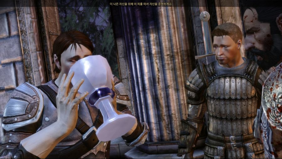 드래곤 에이지 오리진스_64.jpg