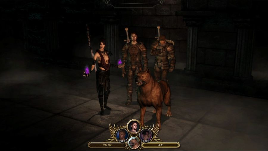 드래곤 에이지 오리진스_84.jpg