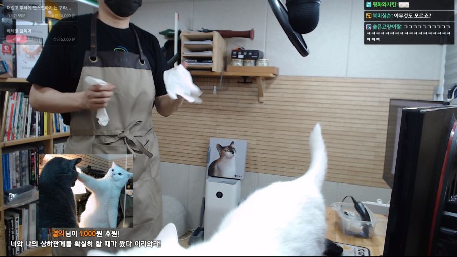 인방자동 두야 백숙 만드는 날이네 ㅋㅋ