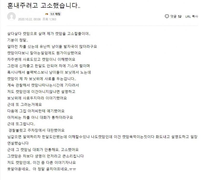 캣맘을 고소한 캣맘