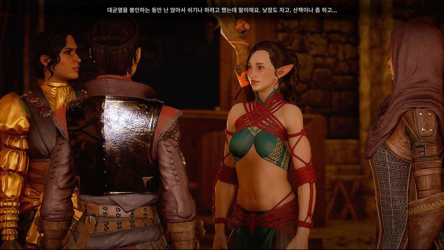 수정됨_Dragon Age Inquisition Screenshot 2021.06.11 - 20.24.35.16.jpg