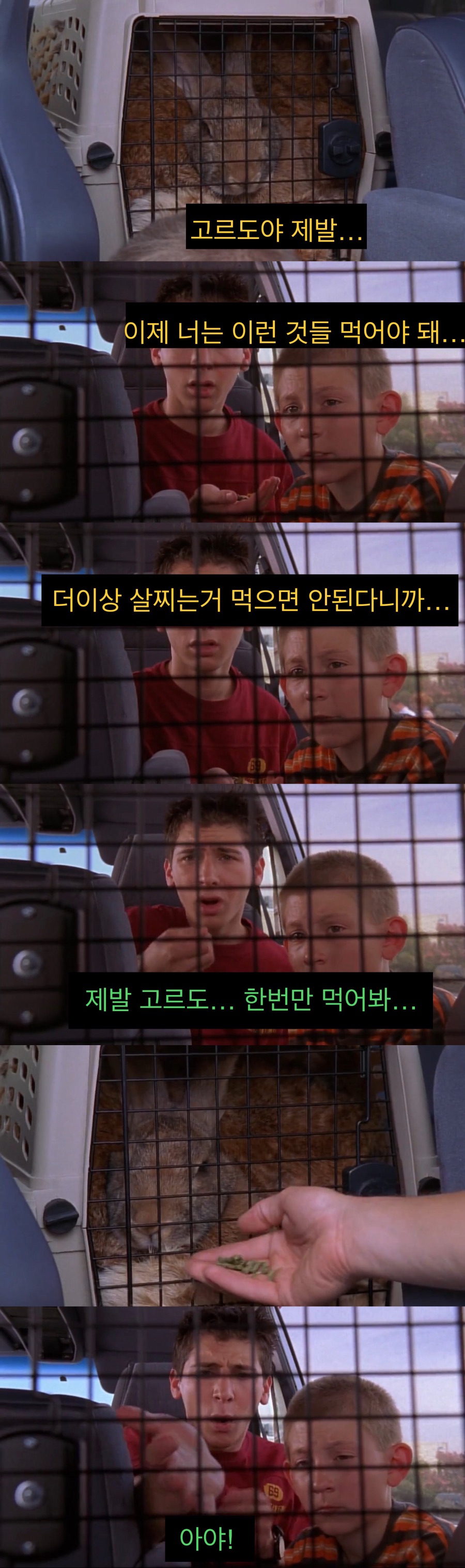 동생의 토끼를 말아먹은 형.jpg_22.jpeg