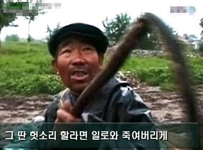 비1238 이미지