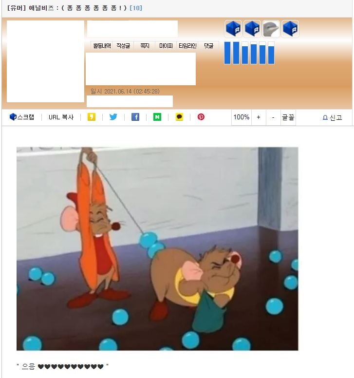 157c42ce603260e4f.jpg