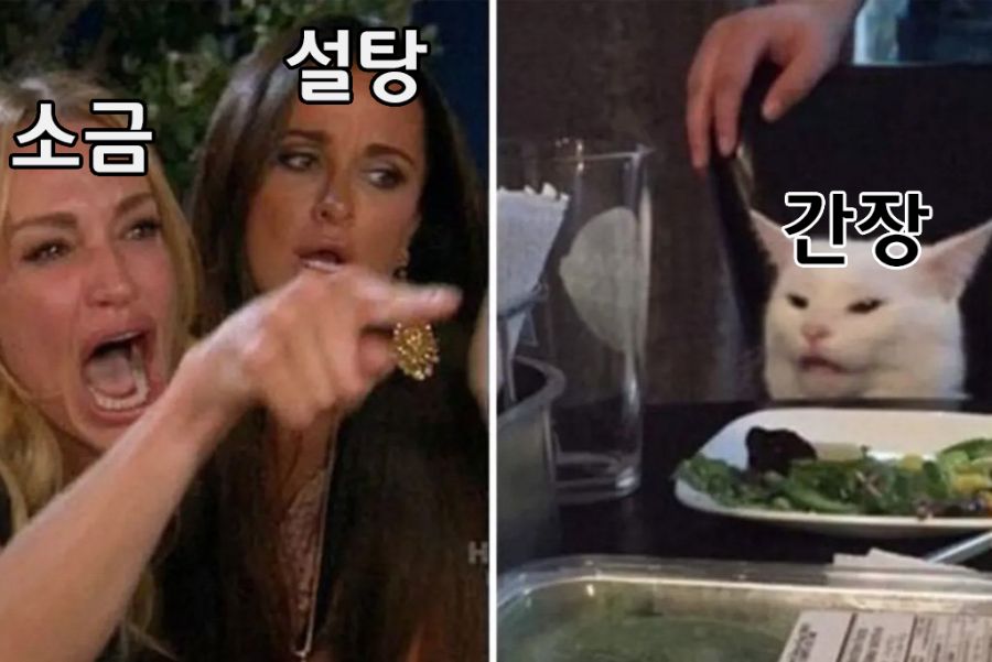 콩국수에 뭐 넣어 먹냐 | 유머 게시판 콩국수에 뭐 넣어 먹냐 | 유머 게시판 | 루리웹