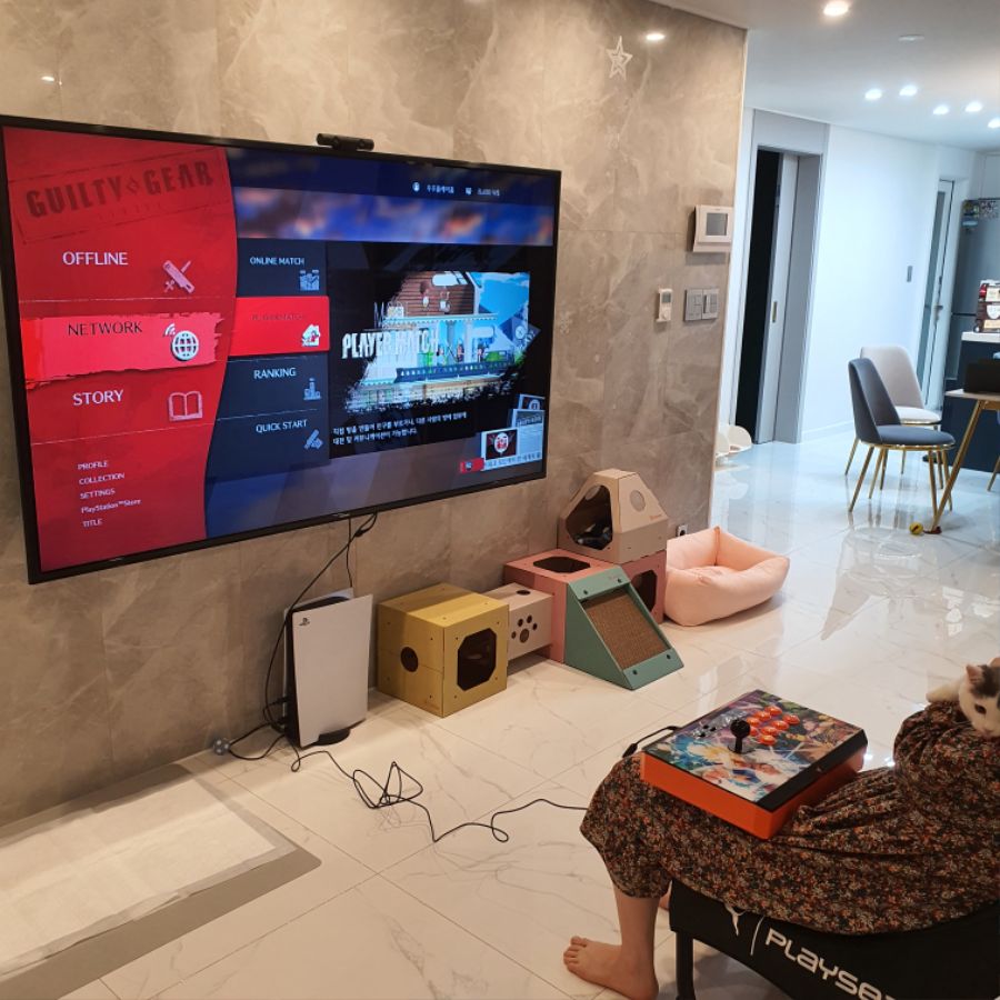 PS5 길티기어 조이스틱 레이저판테라 사용가능합니다~_5.jpg