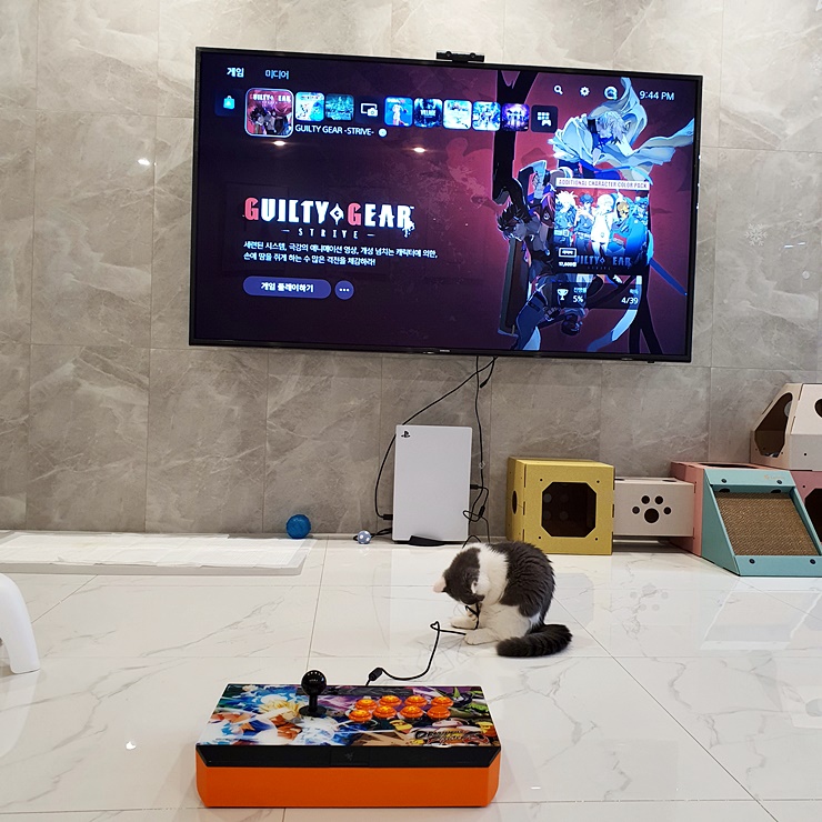 PS5 길티기어 조이스틱 레이저판테라 사용가능합니다~_6.jpg