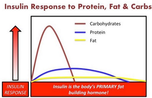insulin-response-to-protein-fat-carbs.jpg