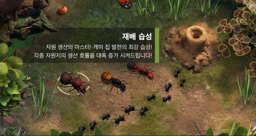 SLG 장르 디 앤츠 : 언더그라운드 킹덤 사전예약 | 모바일 정보 게시판 이건 좀 신박하다? SLG 장르 디 앤츠 : 언더그라운드 킹덤 사전예약... 