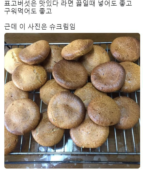 표고버섯은 맛있다.jpg_1.jpg