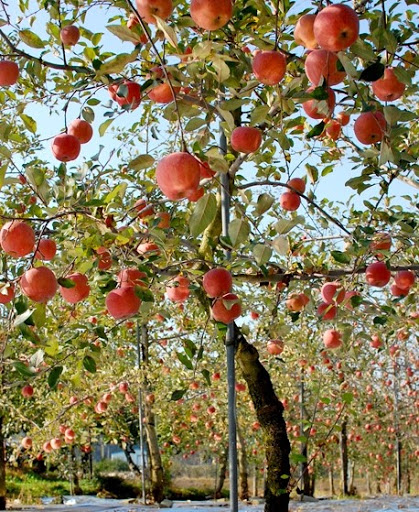 '야 내가 문제 낼게 맞춰봐. 근데 이 문제의 답은 두개야.'_1.jpg