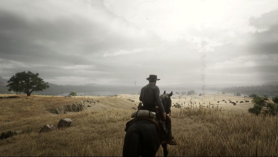 Red Dead Redemption 2 2021-07-05 오전 2_32_40.png