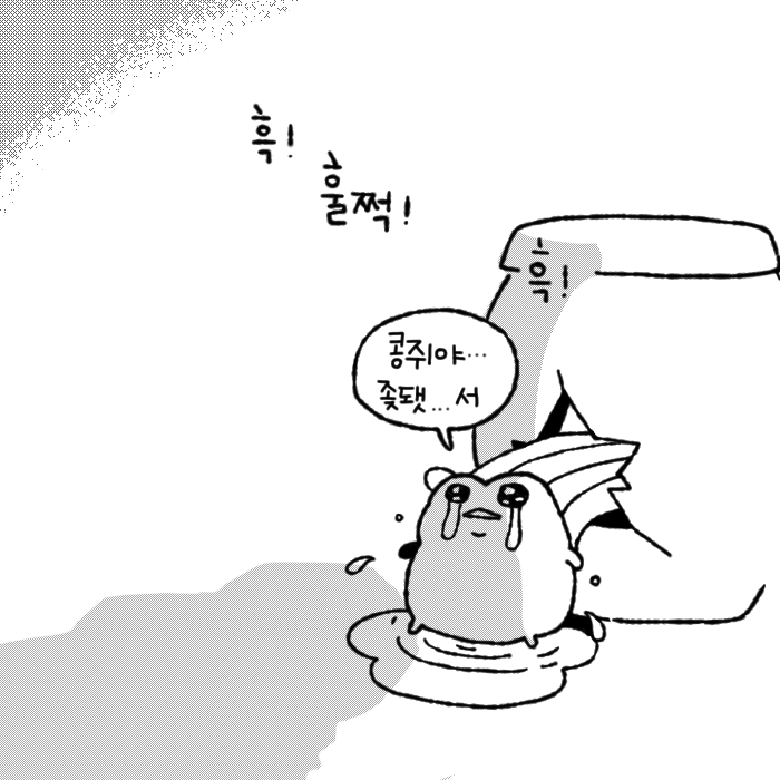 콩쥐야 조때써