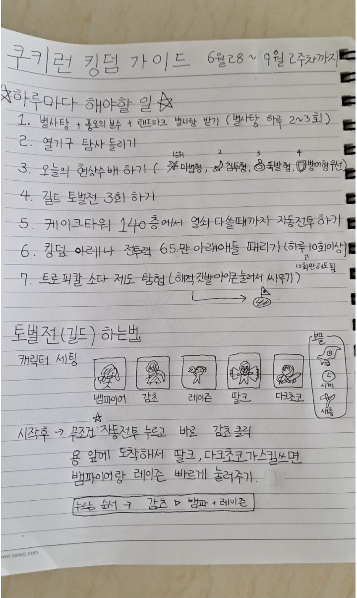 군대간 오빠대신 쿠키런킹덤 하던 여동생 근황.jpg_1.jpg