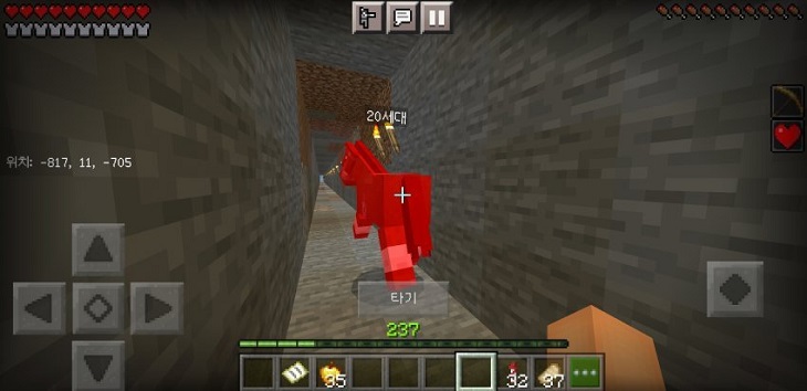 마인크래프트 말 속도 버그.GIF_3.jpg