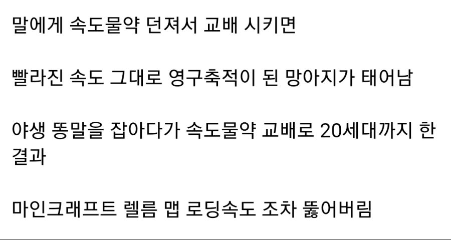 마인크래프트 말 속도 버그.GIF_4.jpg