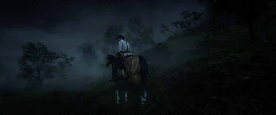 Red Dead Redemption 2 Screenshot 2021.07.17 - 22.54.37.12.png