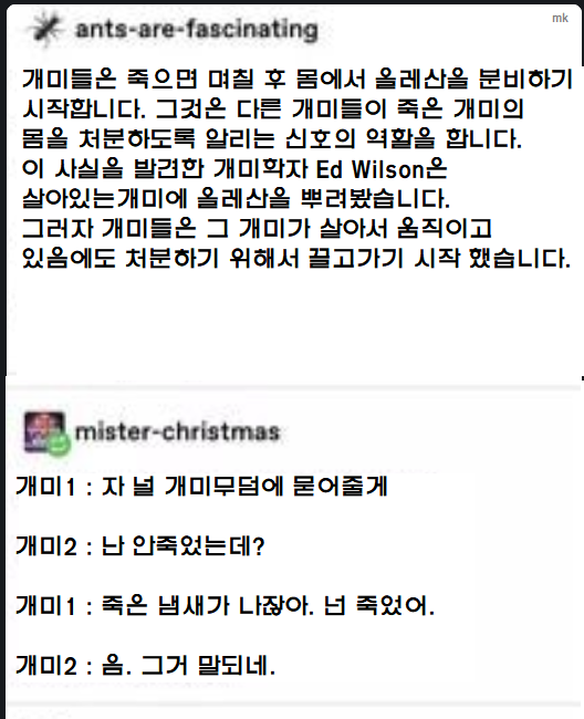 살아있는 개미에게 개미가 죽으면 나는 냄새를 묻힌 학자_1.png